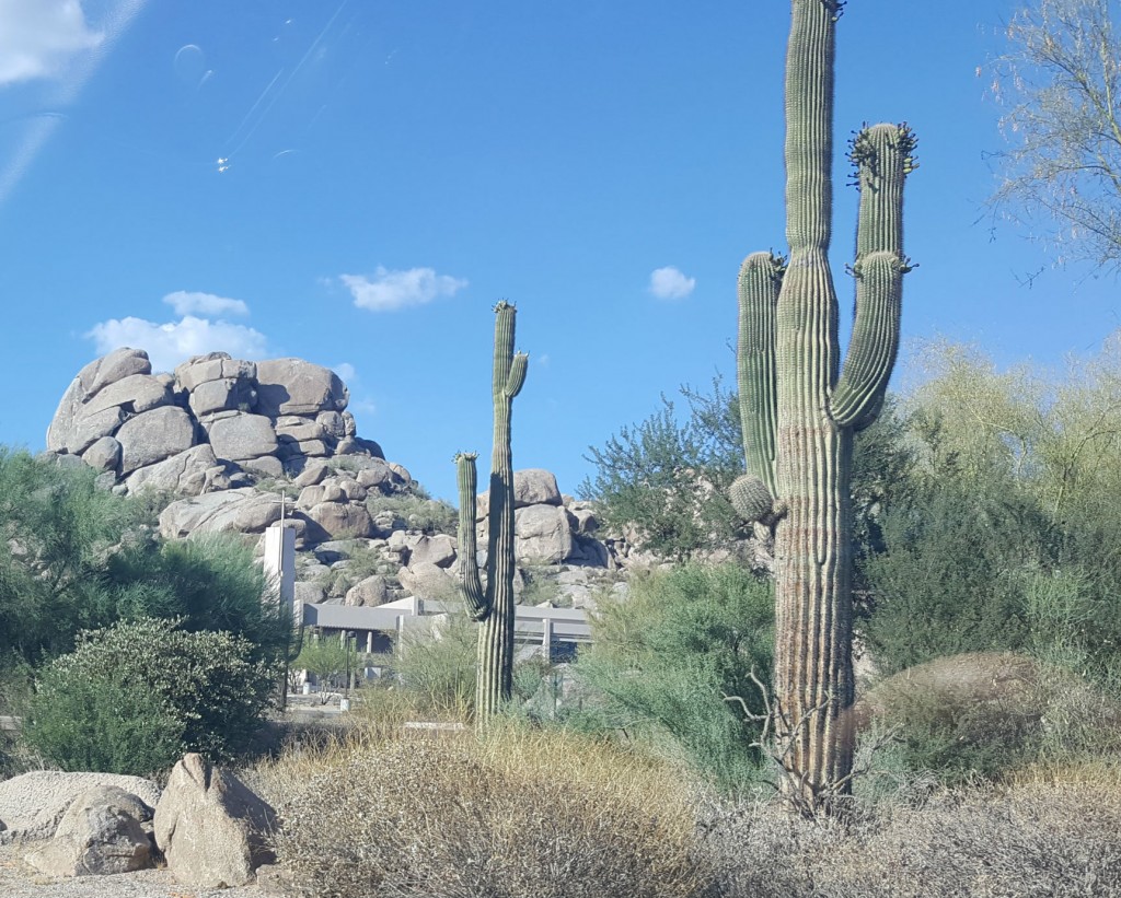Scottsdale scenery -3